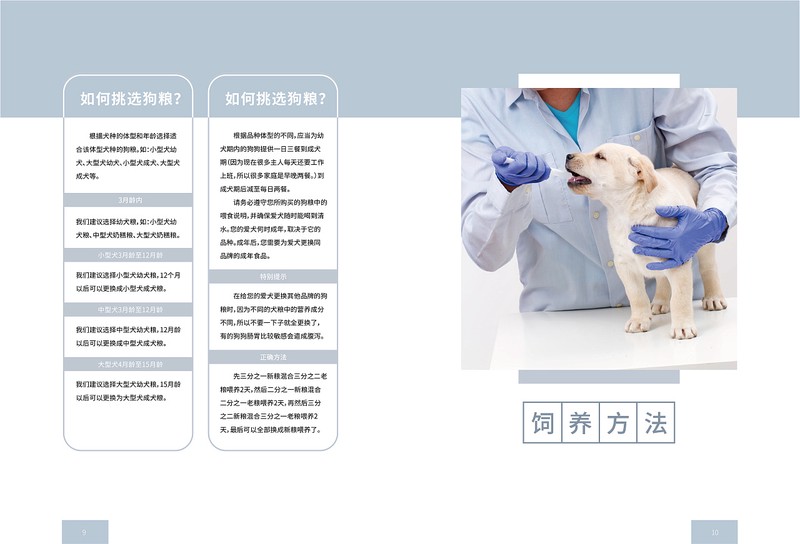 英利是否要倒闭_宠物殡仪馆是否爆利_柳州宠物殡仪